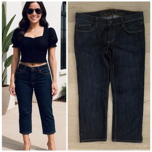 Chip & Pepper Dark Blue Ankle Jeans